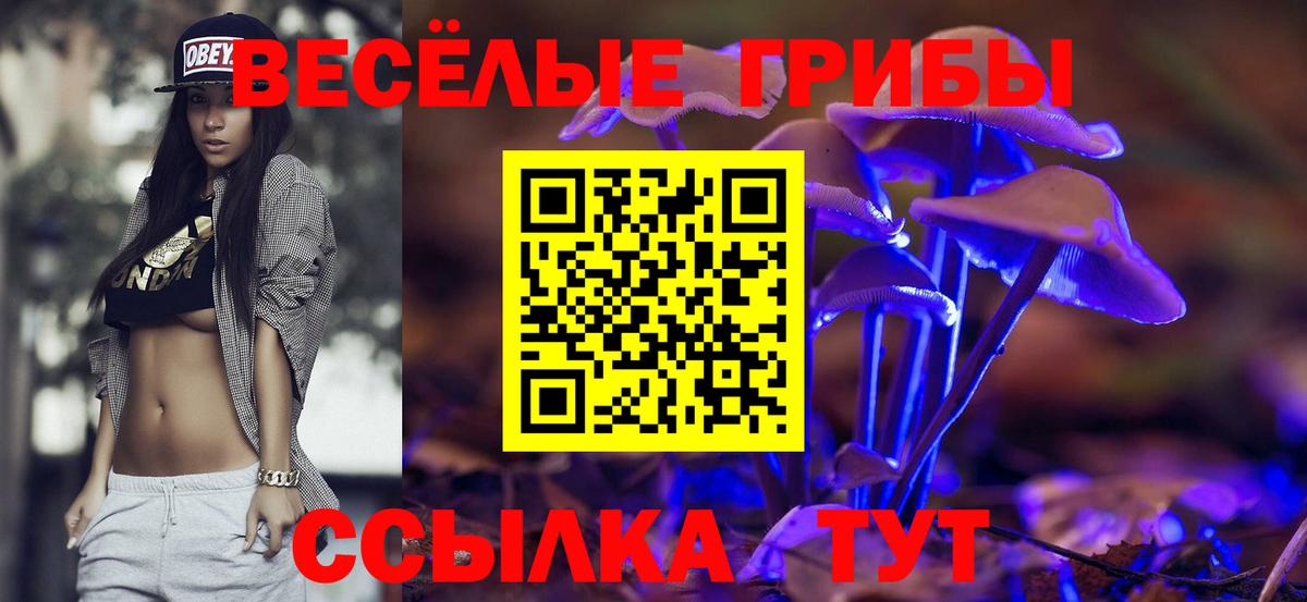 Псилоцибиновые грибы MAGIC MUSHROOMS Саяногорск
