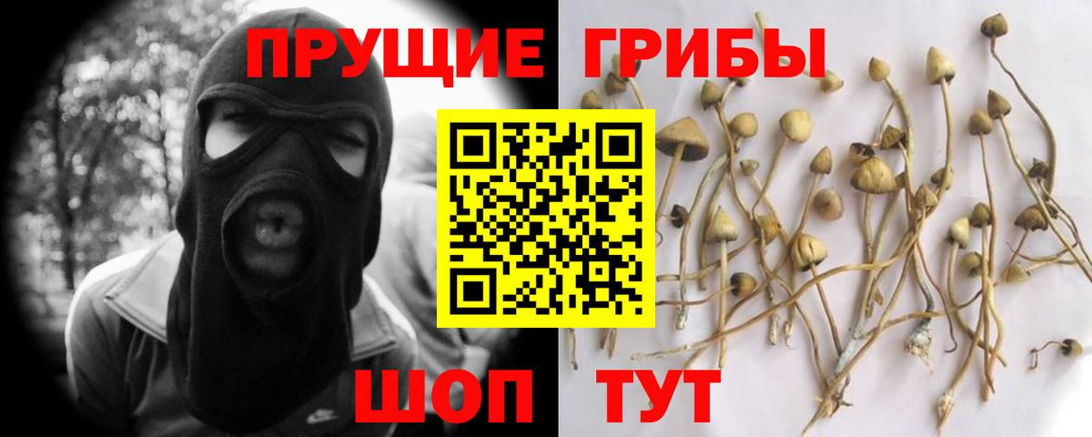 Псилоцибиновые грибы мухоморы  Вход с VPN  Саяногорск 